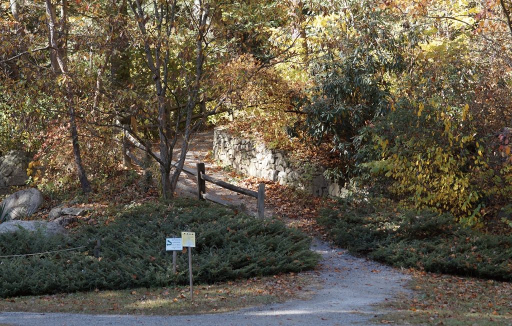 Fall Color and Path