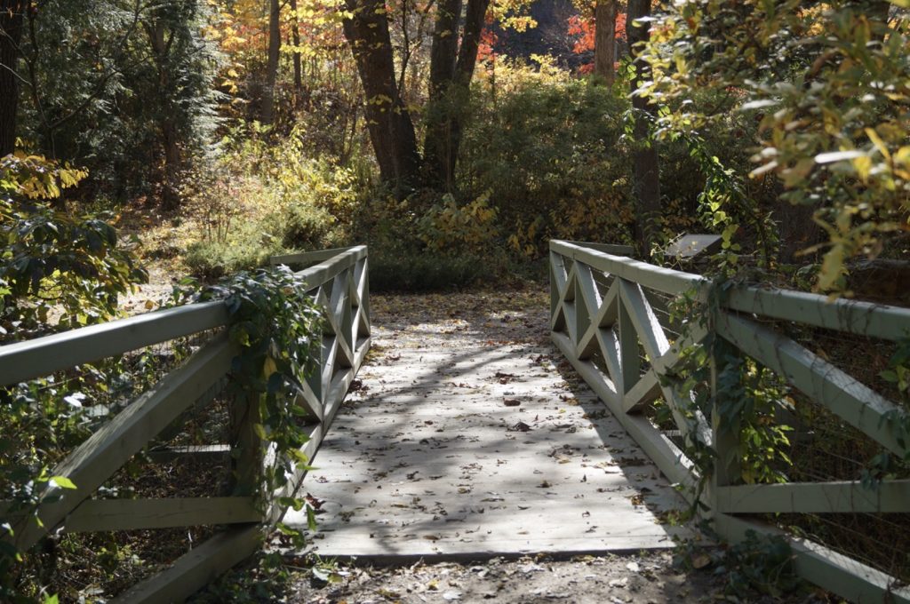 Green Bridge