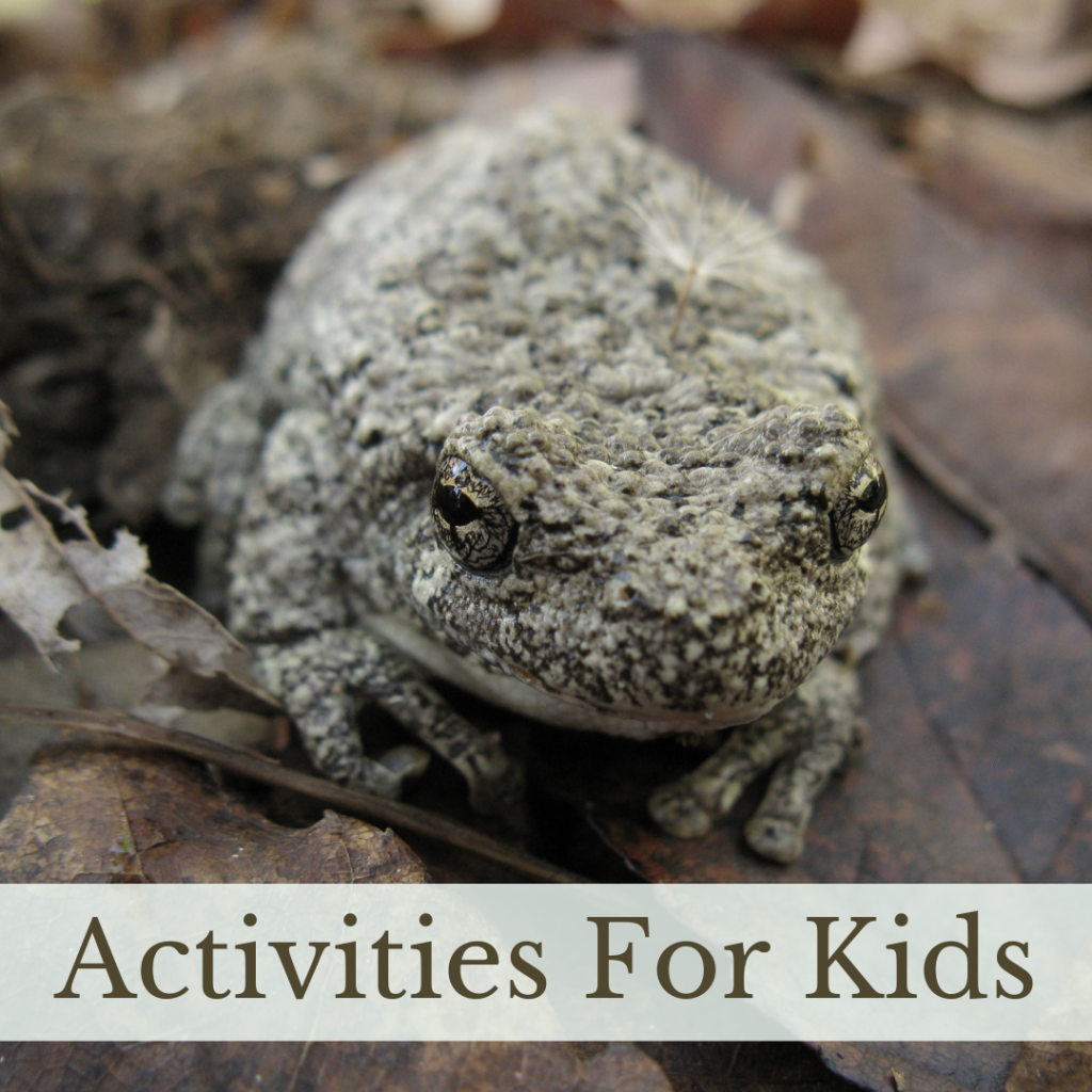 Link to Activities for Kids page.