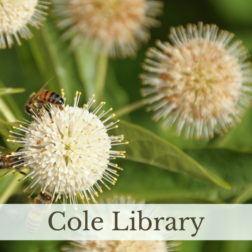 Link to Cole Library page.