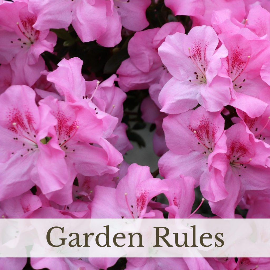 Link to Garden Rules page.