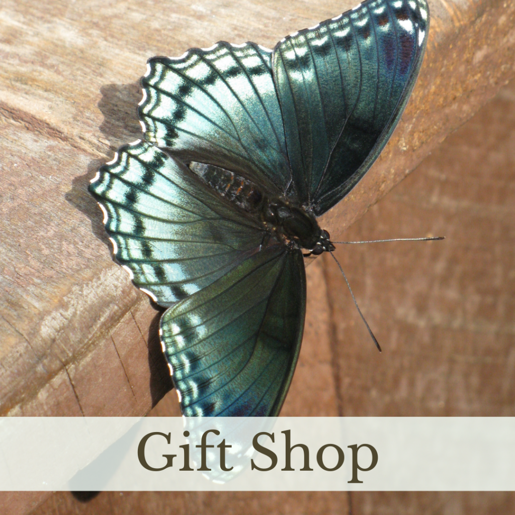 Link to Gift Shop page.