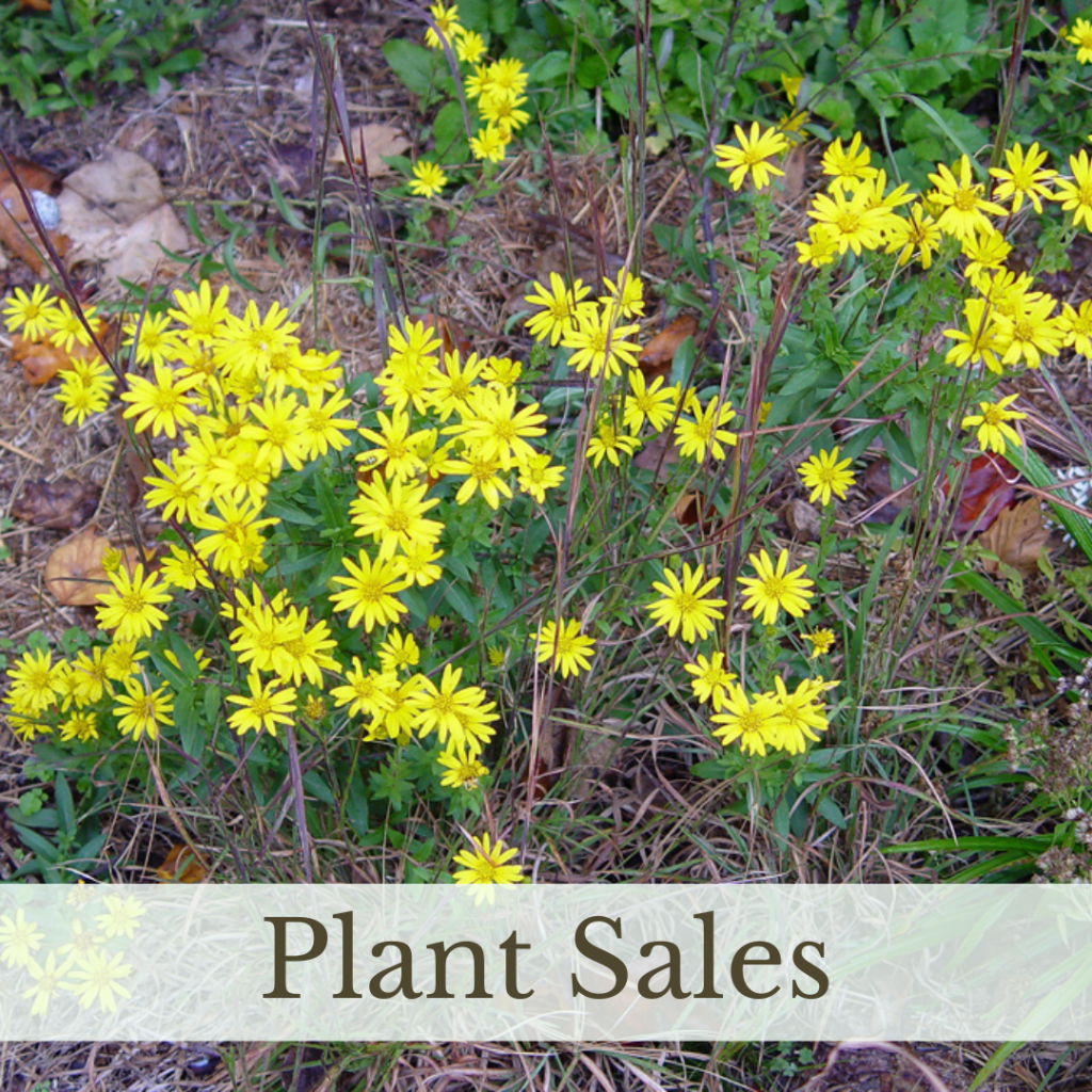 Link to Plant Sales page.