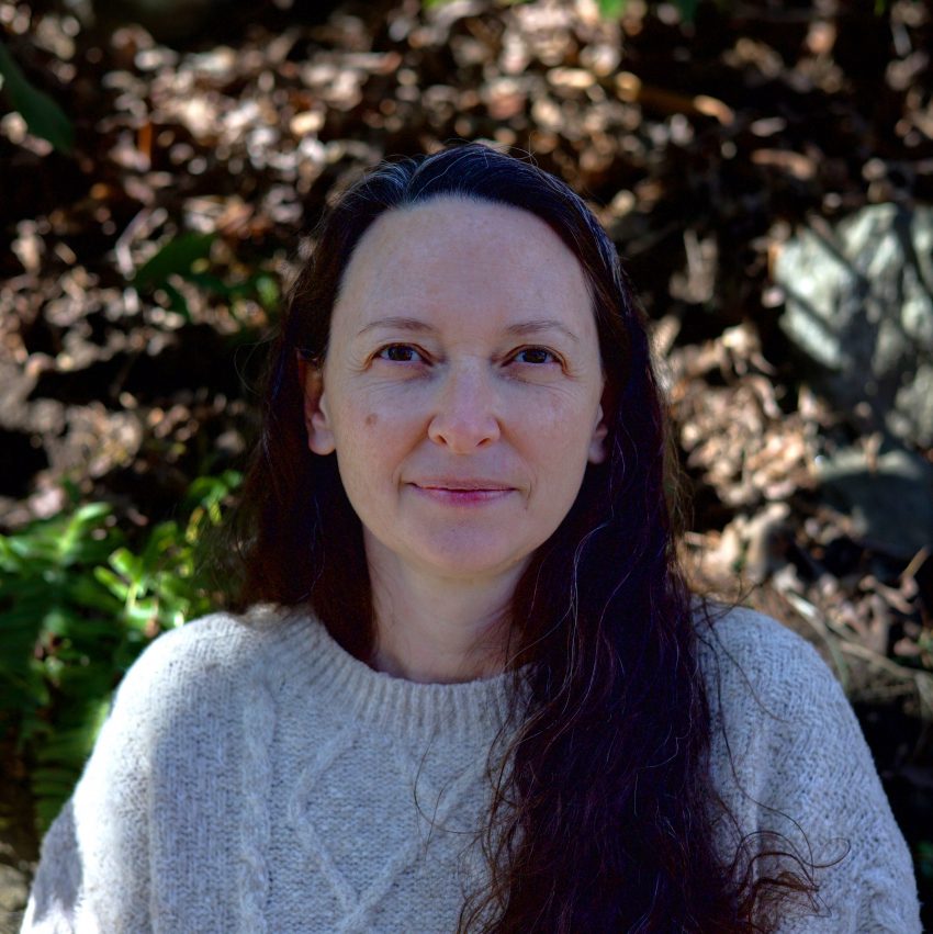 Pet Shop Activities For Kids Pet Shop Activities For Kids