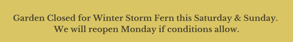 Asheville Botanical Garden