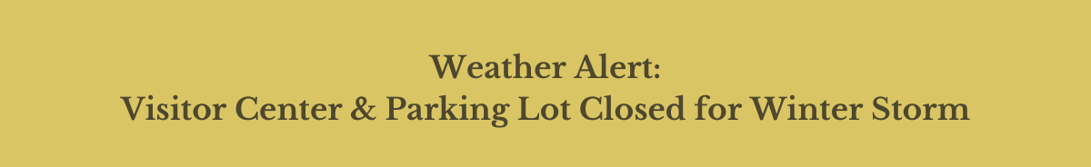 Asheville Botanical Garden